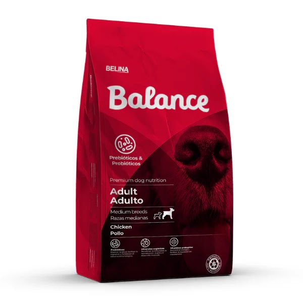 Balance Dog Adulto Chicken Pork 2kg