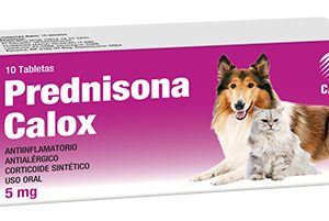 Prednisona 5mg 1TAB