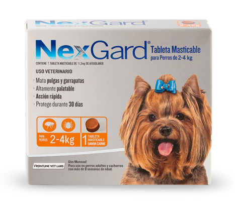 Nexgard 2-4k Naranja 1 MES