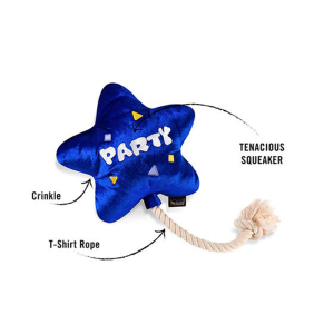 Party Time Best Day Ever Balloon