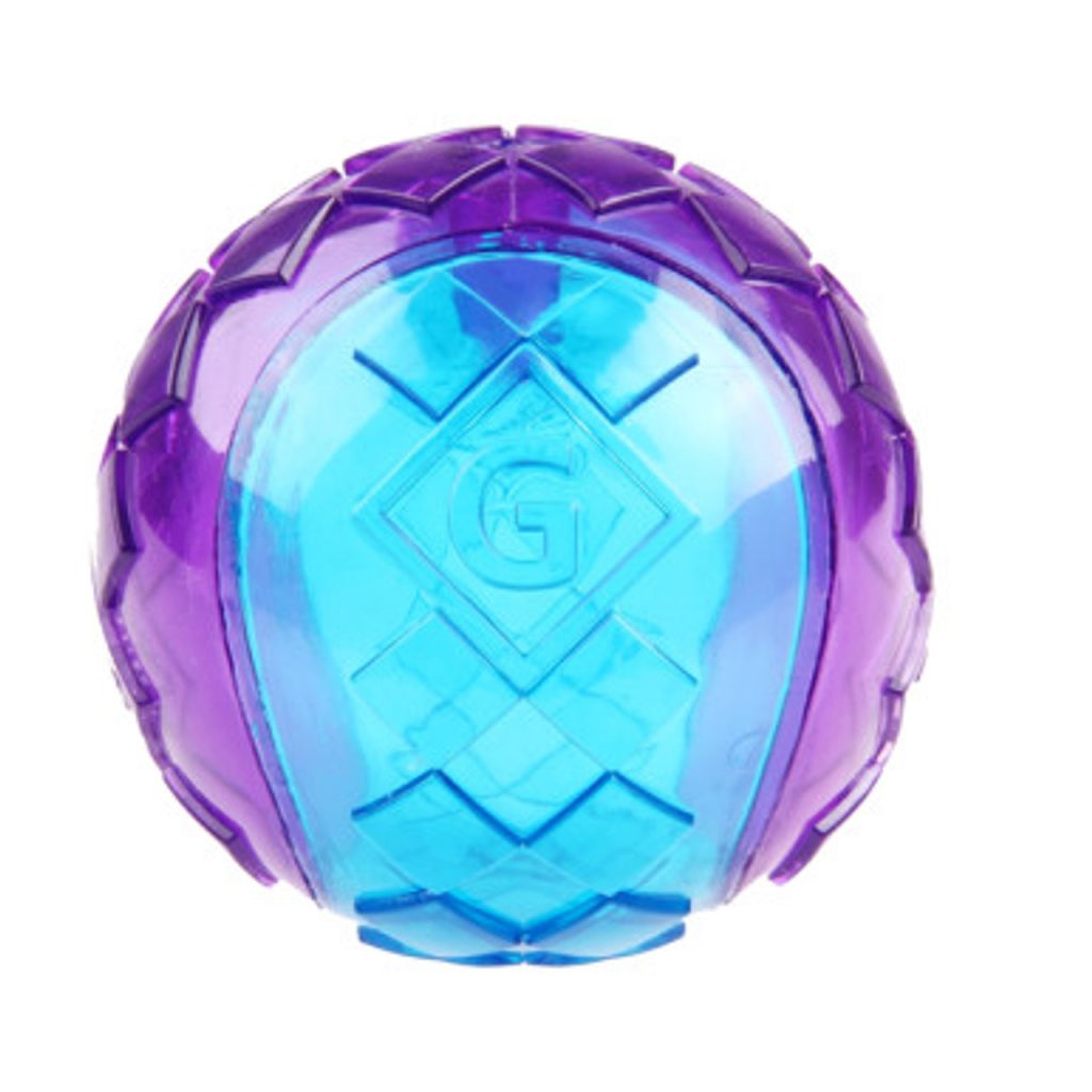 Gigwi Ball Squeaker Purple Blue Large