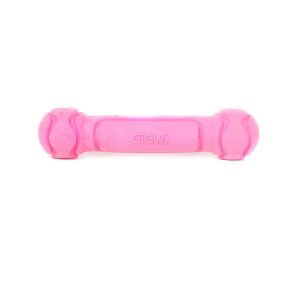 Gigwi Foamer Tpr Dumbbell Rose