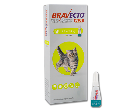 Bravecto Felino 1.2kg - 2.8kg 3 MESES